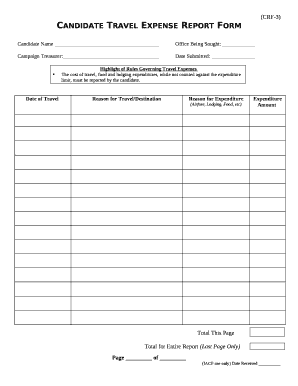 Candidate Travel Expense Report Form