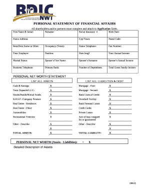 PERSONAL STATEMENT OF FINANCIAL AFFAIRS