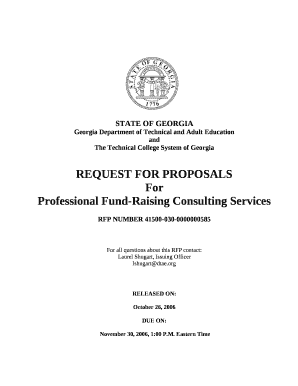 Professional Fund-Raising Consulting Services