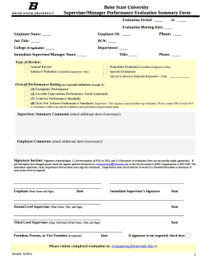 Supervisor/Manager Performance Evaluation Summary Form