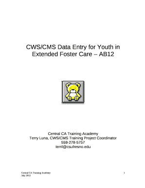 CWS/CMS Data Entry for Youth in