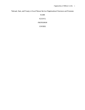 National, State, and County or Local Human Service Organizational Structures and Processes