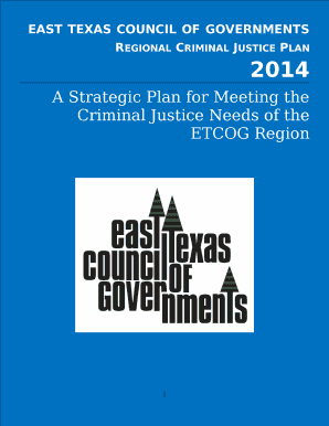 Regional Criminal Justice Plan
