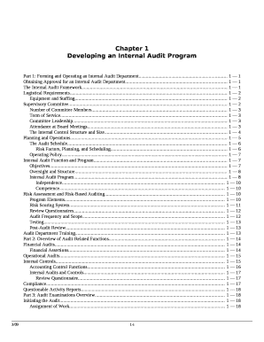 internal audit programme sample