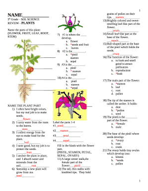 5th Grade SOL SCIENCE REVIEW - PLANTS