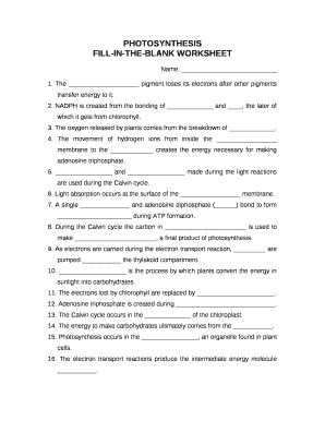 FILL-IN-THE-BLANK WORKSHEET