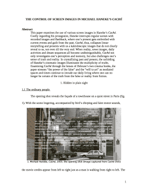 THE CONTROL OF SCREEN IMAGES IN MICHAEL HANEKES CACH