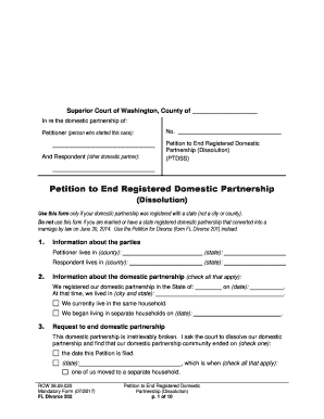 Washington Domestic Partnership Dissolution Petition