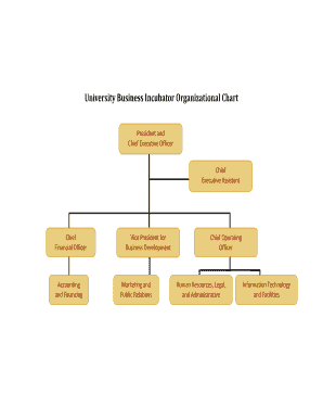 University Business Incubator Organizational Chart