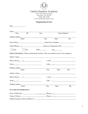 Form preview