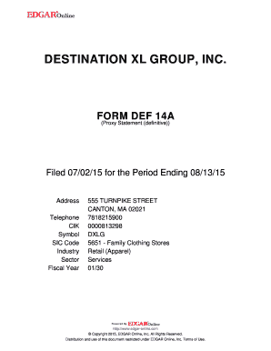 Fillable Online DESTINATION XL GROUP, INC Fax Email Print - pdfFiller