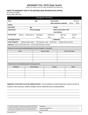 ASSESSMENT TOOL- YOUTH (Paper Version)
