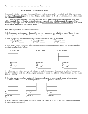 Non Mendelian Genetics Practice Packet Answers - Fill and Sign Printable  Template Online