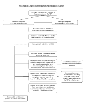 Alternative Employment Programme Process Flowchart