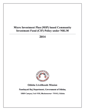 Micro investment plan (mip) based community investment fund (cif) policy under nrlm