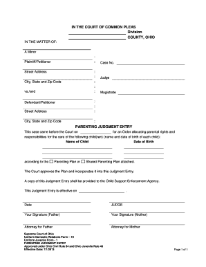 Parenting Judgment Entry