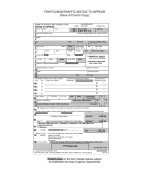 California Traffic/Nontraffic Notice to Appear