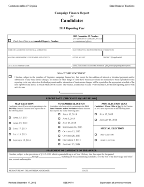 Virginia Campaign Finance Report