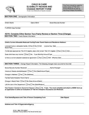 Child in Care Eligibility Review Form