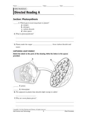 Photosynthesis Worksheet