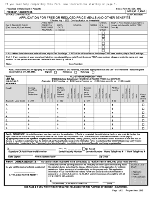 Form preview picture