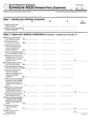 Illinois Schedule 80/20 Related-Party Expenses