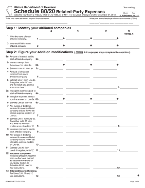 Illinois Schedule 80/20 Related-Party Expenses
