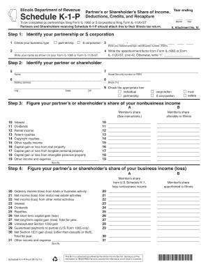 Illinois Schedule K-1-P Tax Form