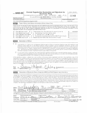 Form 8453-EO Exempt Organization Declaration