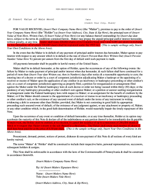 Non-Negotiable Promissory Note