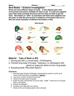 Bird Beaks Science Investigation