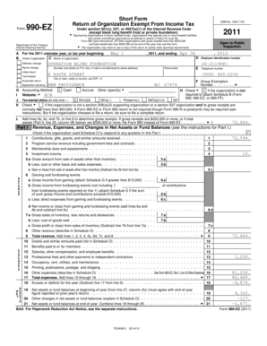 Form 990-EZ 2011