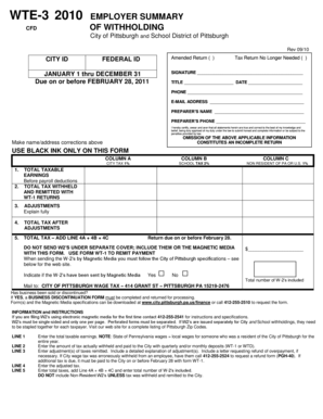 WTE-3 2010 Employer Summary