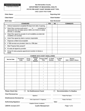 State Pre-Audit Chart Review Audit Tool