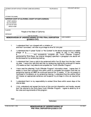 Memorandum of Understanding of Pre-Trial Disposition