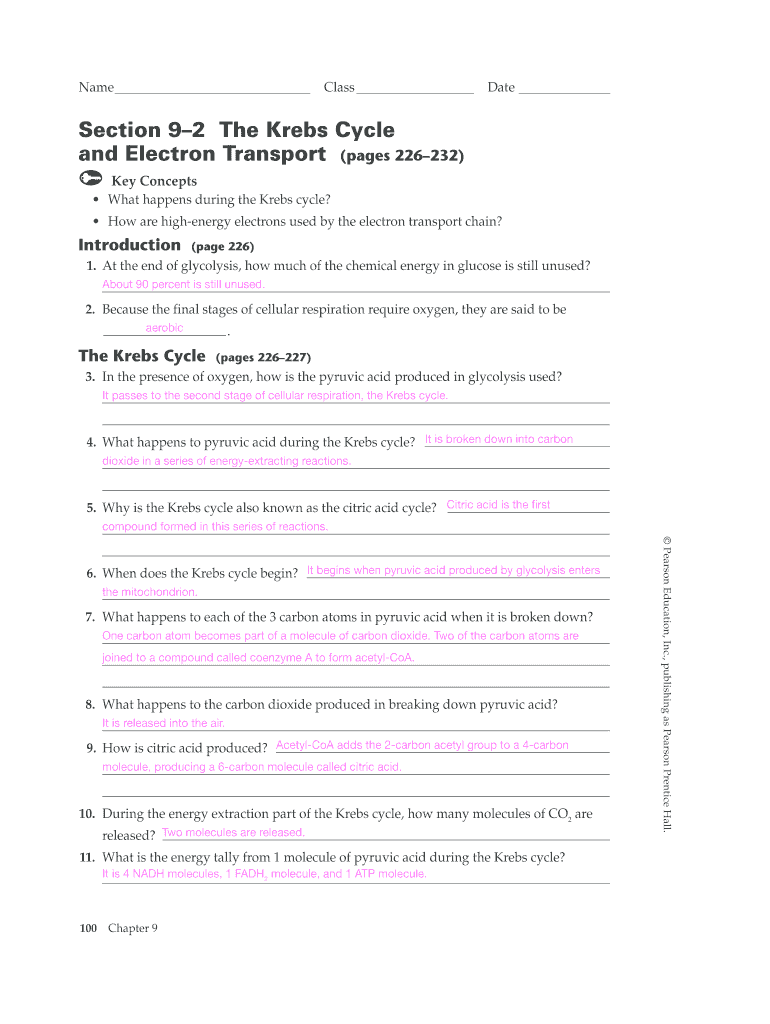 Section 200 20 The Krebs Cycle And Electron Transport Answer Key Intended For Cycles Worksheet Answer Key