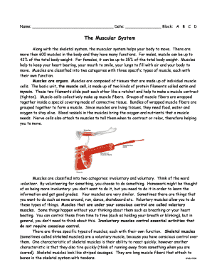 The Muscular System Worksheet