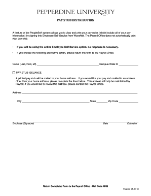Pay Stub Issuance Form