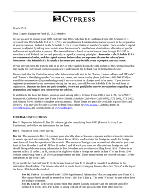 2009 Federal Form 1065 Schedule K-1 Tax Document