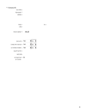 Business Financial Projection Form