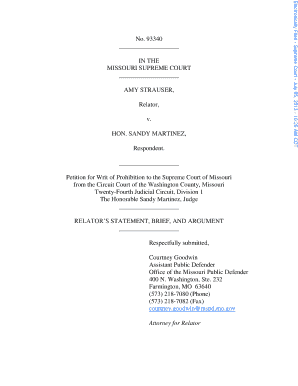 Fillable Online courts mo IN THE - Missouri - courts mo Fax Email Print ...