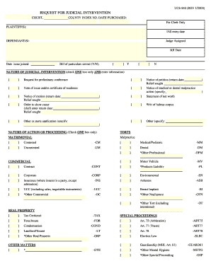 Request for Judicial Intervention Form