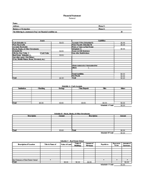 Personal Financial Statement Form