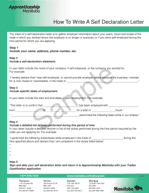 Self Declaration Letter for Employment