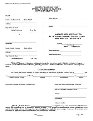 Answer Affidavit to Motion for Support Pendente Lite