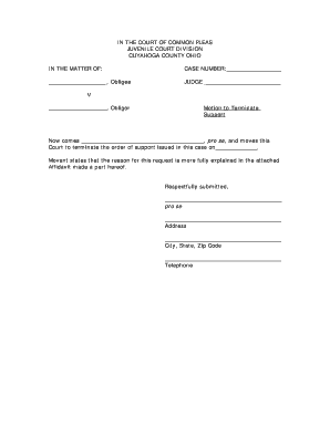 Motion to Terminate Support