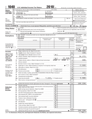 2010 US Individual Income Tax Return Form 1040