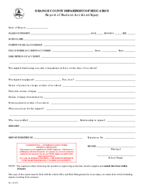 Orange County Student Accident Report