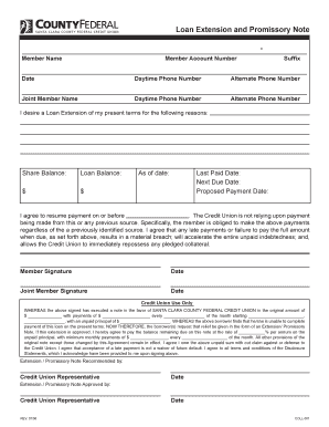 Loan Extension and Promissory Note