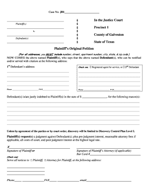 Plaintiff's Original Petition